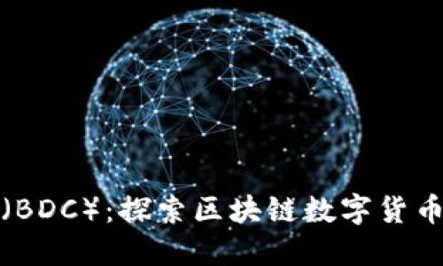 迪拜币（BDC）：探索区块链数字货币的未来