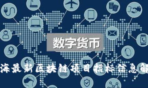 北海最新区块链项目招标信息解读