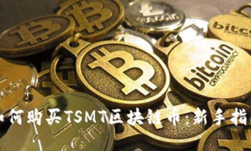 如何购买TSMT区块链币：新手指南