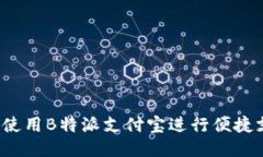 如何使用B特派支付宝进行
