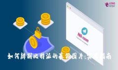 如何辨别比特派的真假图