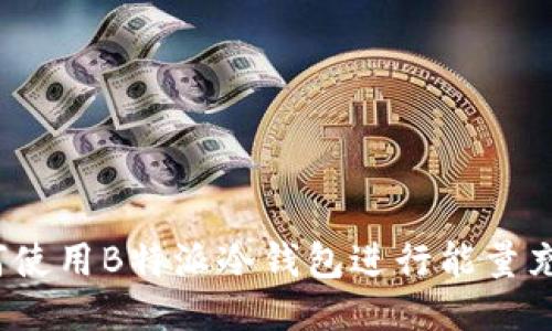 如何使用B特派冷钱包进行能量充值？