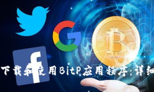 如何下载和使用BitP应用程序：详细指南
