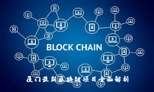 厦门最新区块链项目全面解析