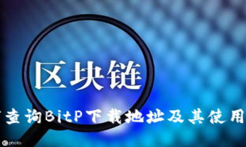 如何查询BitP下载地址及其使用指南