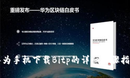 华为手机下载Bitp的详细步骤指南