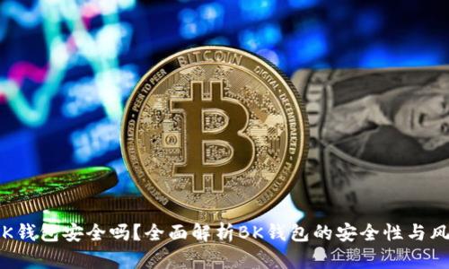  BK钱包安全吗？全面解析BK钱包的安全性与风险