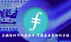 区块链时代的龙头币：掌