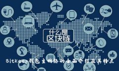 BitKeep钱包主网络的全面介