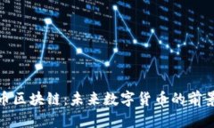 : 骑士币区块链：未来数字