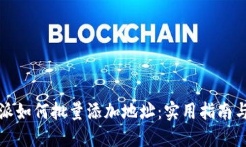 比特派如何批量添加地址：实用指南与技巧