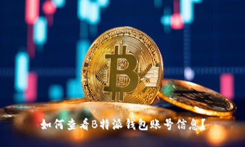 如何查看B特派钱包账号信息？