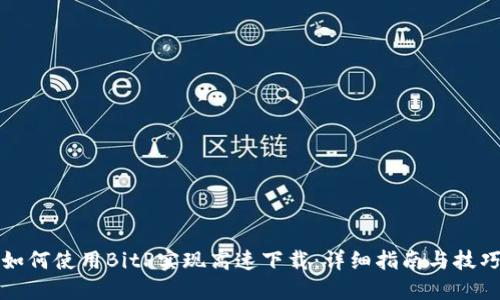 如何使用BitP实现高速下载：详细指南与技巧