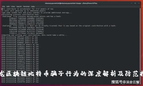 云龙区块链比特币骗子行为的深度解析及防范措施