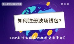 BitP是什么国家的数字货币