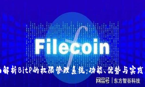 全面解析BitP的权限管理系统：功能、优势与实践应用