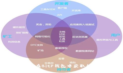 如何在BitP钱包中获取能量？