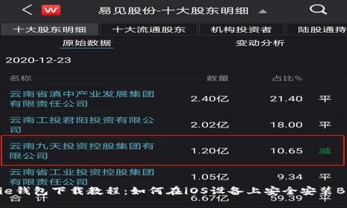 BitPie钱包下载教程：如何在iOS设备上安全安装BitPie