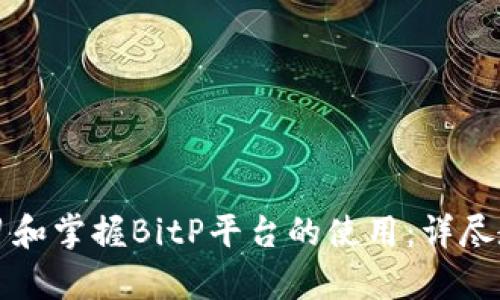 如何快速学习和掌握BitP平台的使用：详尽教程视频解析