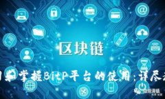 如何快速学习和掌握BitP平