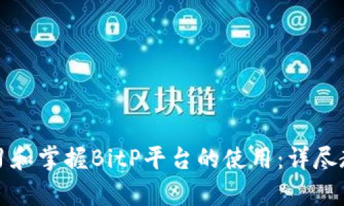 如何快速学习和掌握BitP平台的使用：详尽教程视频解析