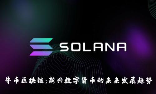 牛币区块链：新兴数字货币的未来发展趋势