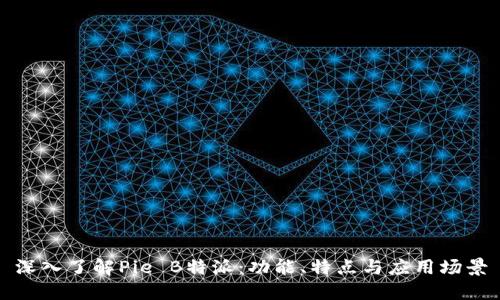 深入了解Pie B特派：功能、特点与应用场景