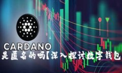 BitP钱包是匿名的吗？深入