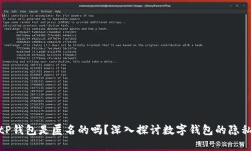 BitP钱包是匿名的吗？深入探讨数字钱包的隐私性
