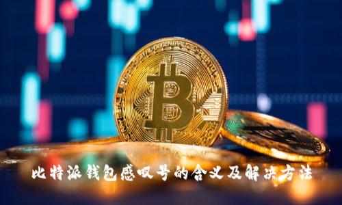 比特派钱包感叹号的含义及解决方法
