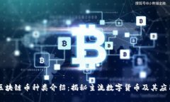 区块链币种类介绍：揭秘