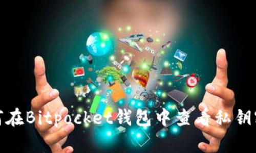 如何在Bitpocket钱包中查看私钥密码