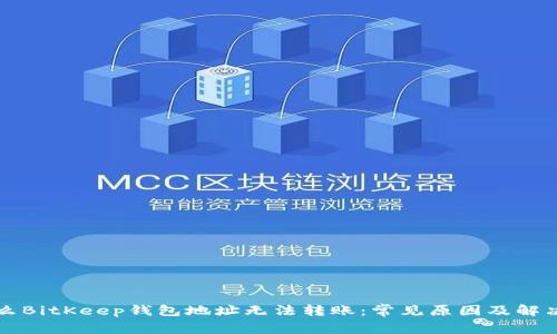 为什么BitKeep钱包地址无法转账：常见原因及解决方案