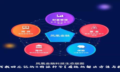 如何找回忘记的B特派种子？有效的解决方法与技巧