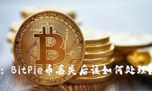 : BitPie币丢失后该如何处理？