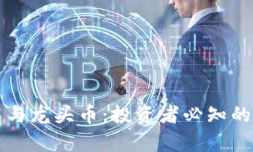区块链技术与龙头币：投资者必知的趋势与洞察
