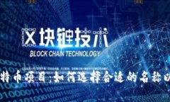 区块链比特币项目：如何选择合适的名称以吸引