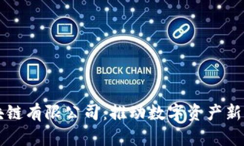 币加索区块链有限公司：推动数字资产新潮流的先锋