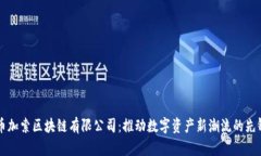 币加索区块链有限公司：推动数字资产新潮流的