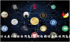 什么是B特派热钱包？如何
