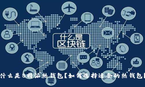 什么是B特派热钱包？如何选择适合的热钱包？