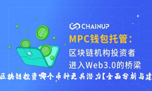 : 区块链投资哪个币种更具潜力？全面分析与建议