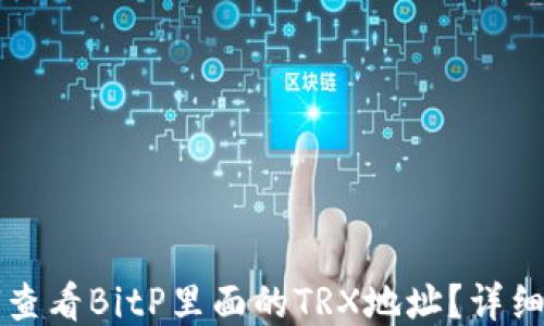 
如何查看BitP里面的TRX地址？详细指南