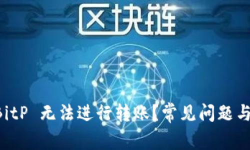 为什么 BitP 无法进行转账？常见问题与解决方案
