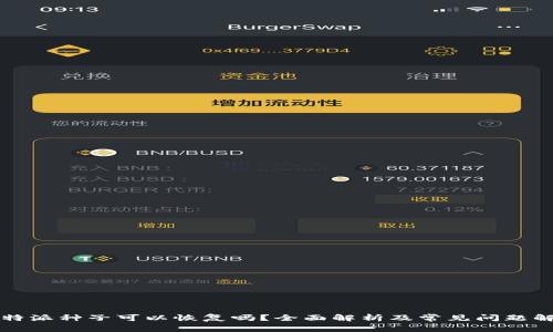 比特派种子可以恢复吗？全面解析及常见问题解答