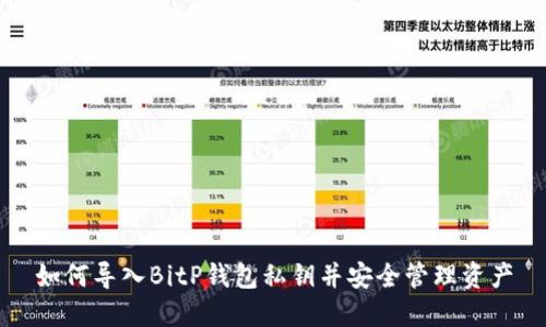 如何导入BitP钱包私钥并安全管理资产