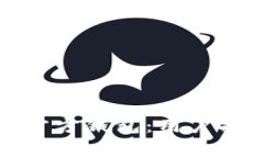 如何安全使用BitP官方钱包