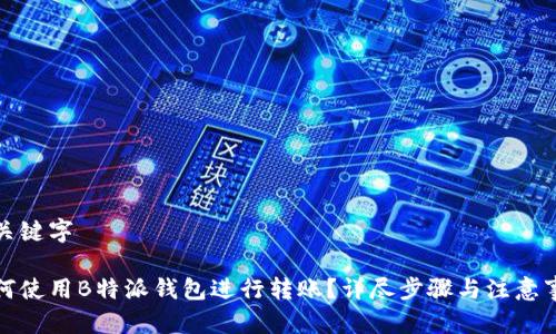 与关键字

如何使用B特派钱包进行转账？详尽步骤与注意事项