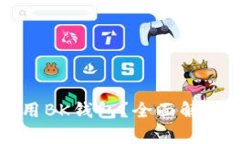 如何安全使用BK钱包？全面