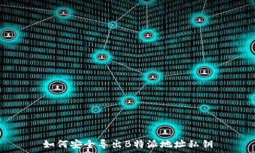    
如何安全导出B特派地址私钥